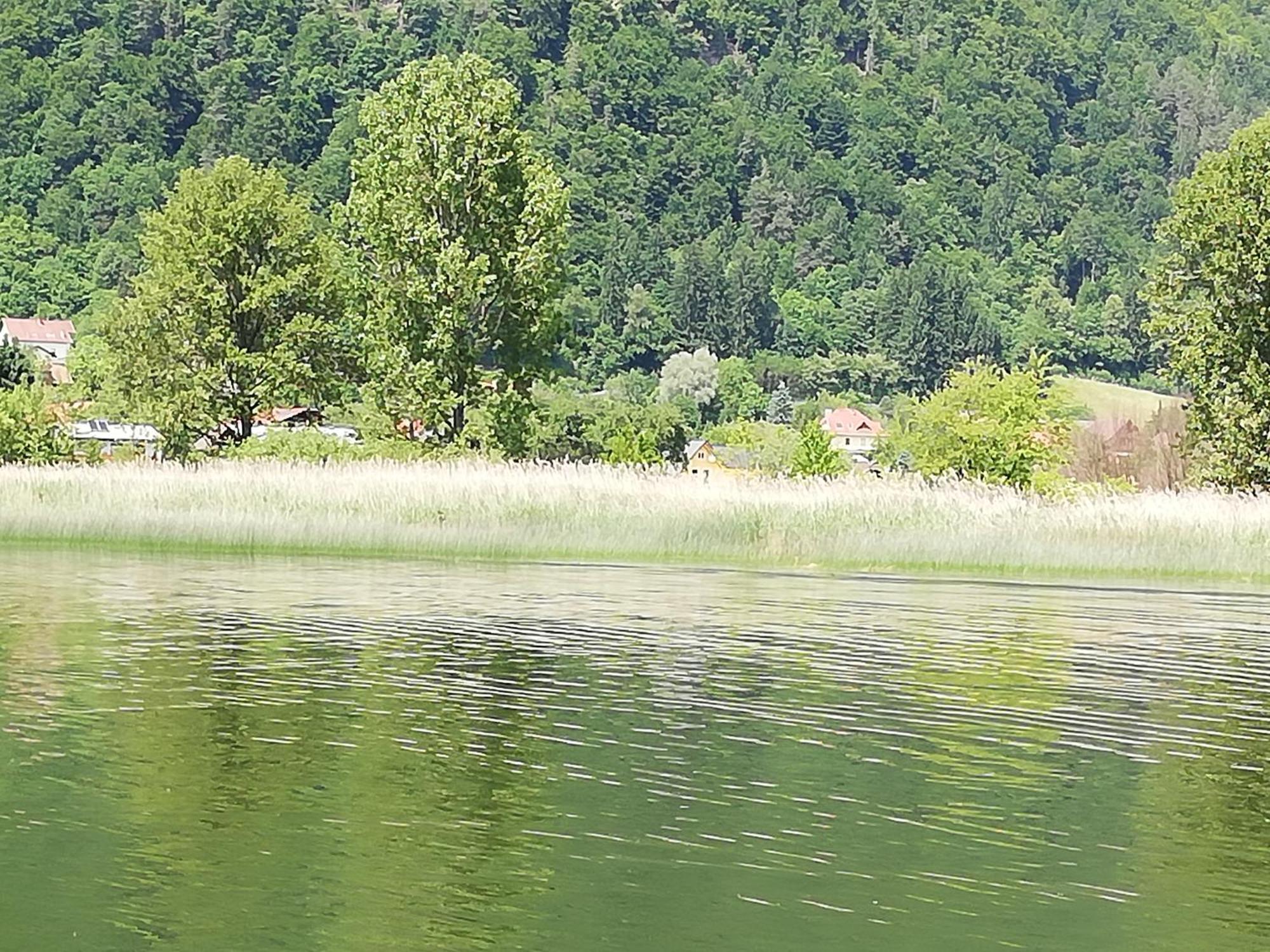 Ferienhaus Am-Moore Steindorf am Ossiacher See Bagian luar foto