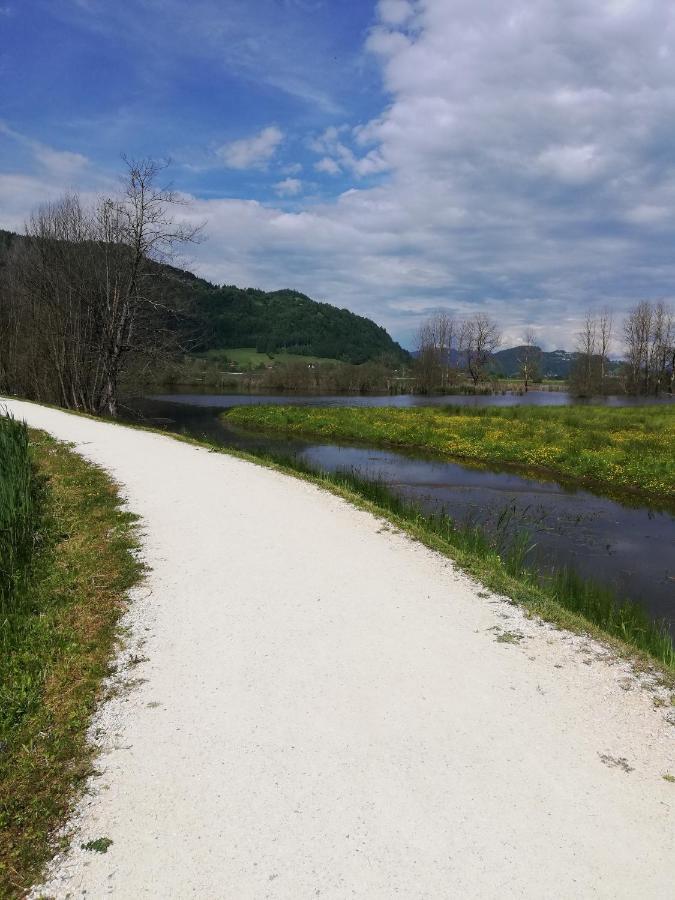 Ferienhaus Am-Moore Steindorf am Ossiacher See Bagian luar foto